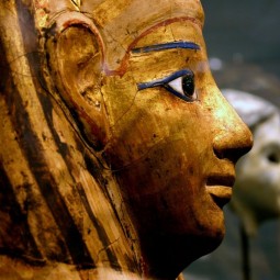 TUTANKHAMON I EL MUSEU EGIPCI
