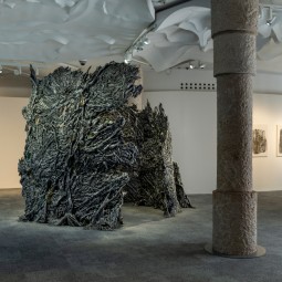 CRISTINA IGLESIAS....