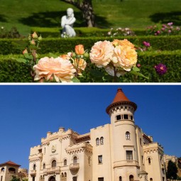 ITINERARI: ROSES I FUSELLS:...