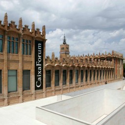 JUNIORS: EXPOSICIÓ DE...